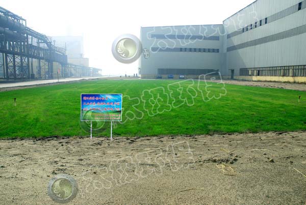 太極|環(huán)保|脫硫|脫銷(xiāo)