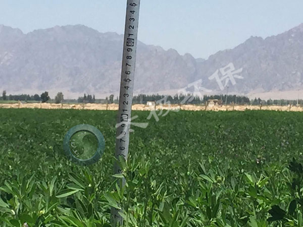 1466050136740447.jpg 加水印內(nèi)蒙古鹽堿地6p.jpg