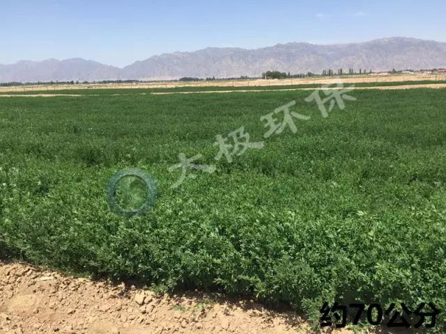 1488440990425670.jpg zgdlb3.jpg