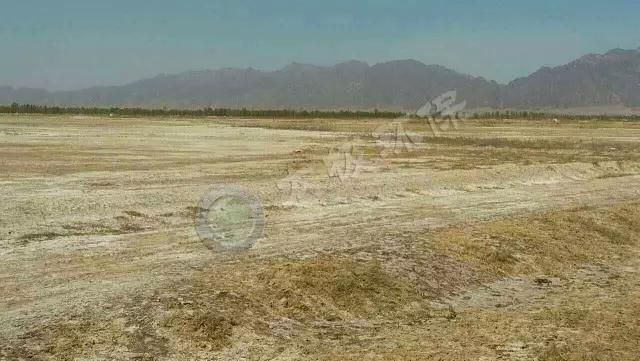 1488441070421195.jpg zgdlb7.jpg