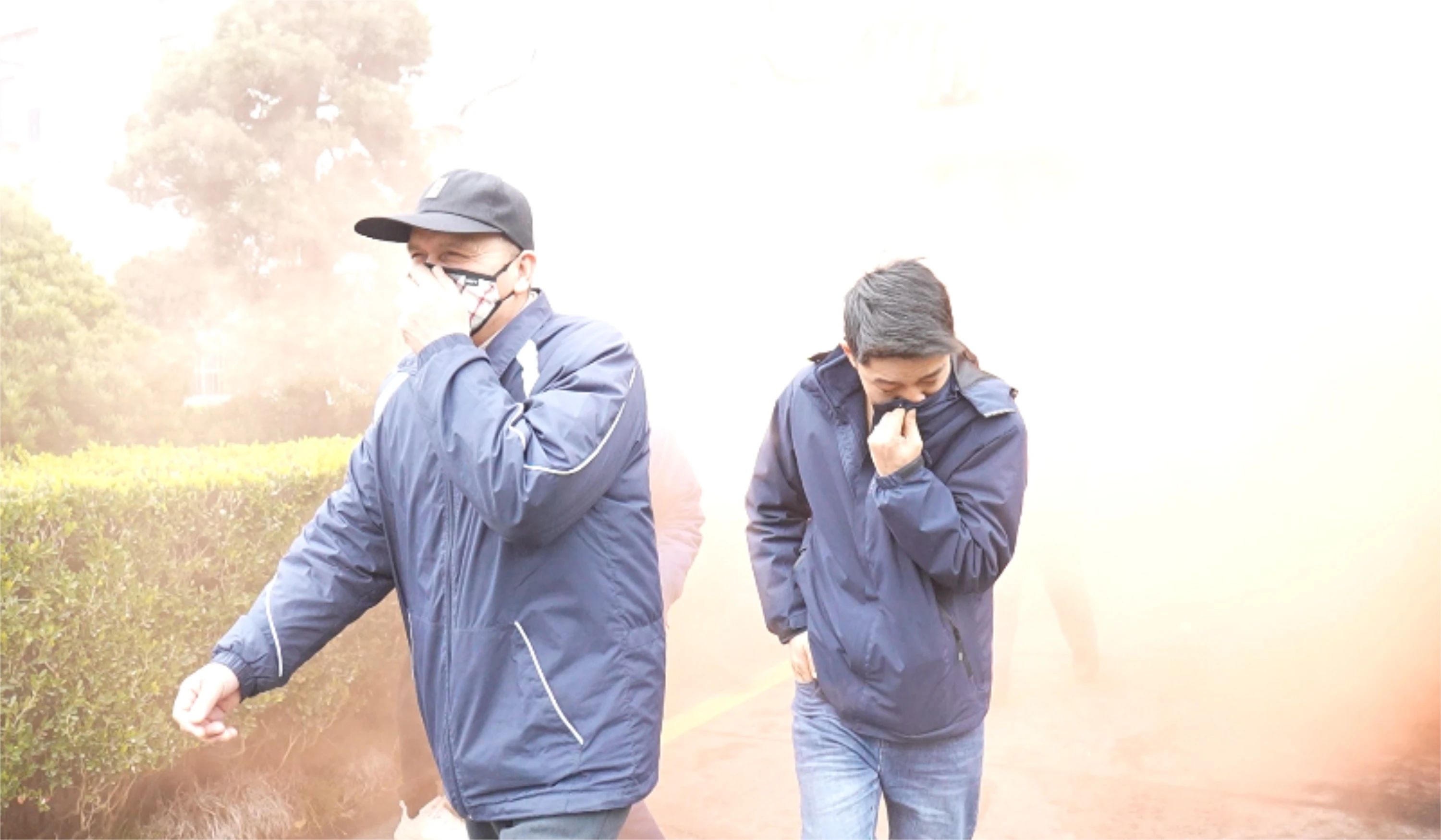 1743382729138132.jpg 1743382729138132.jpg